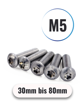 Linsenschrauben M5 von 30 bis 80mm mit Innensechsrund TX ISO 7380 aus Edelstahl A2