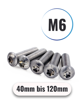 Linsenschrauben M6 von 40 bis 120mm mit Innensechsrund TX ISO 7380 aus Edelstahl A2