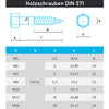 Sechskant Holzschrauben M6 DIN 571 aus Edelstahl A2