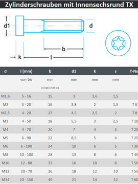 Zylinderschrauben M2,5 mit TORX ISO 14579 aus Edelstahl A2